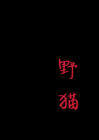 野猫(1v1 H)